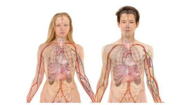 How-dangerous-a-kidney-transplant-in-hindi