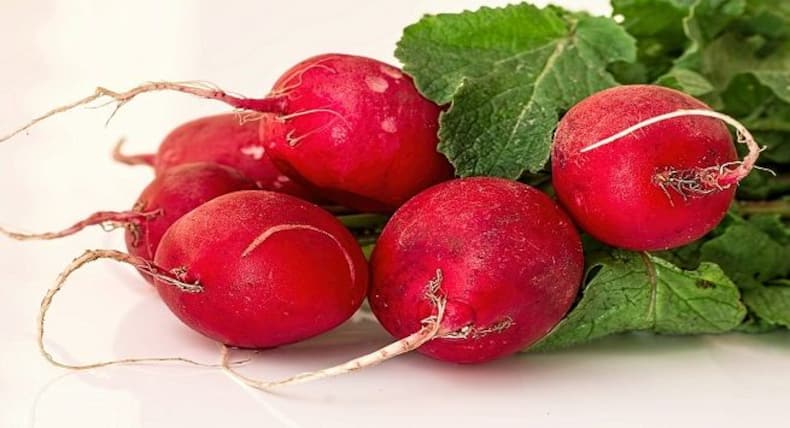 5 red foods that should be on your plate