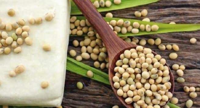 Soybean