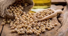 These health benefits of soybeans will impress you