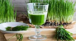 Know these health benefits of wheatgrass
