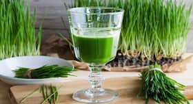 Know these health benefits of wheatgrass