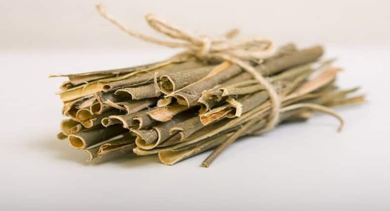 Hydrate your brain with these herbs