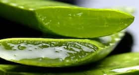 Here are the amazing health benefits of aloe vera Here are the amazing health benefits of aloe vera