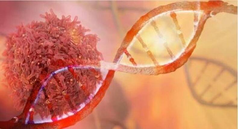 Avoid these environmental toxins to prevent cancer