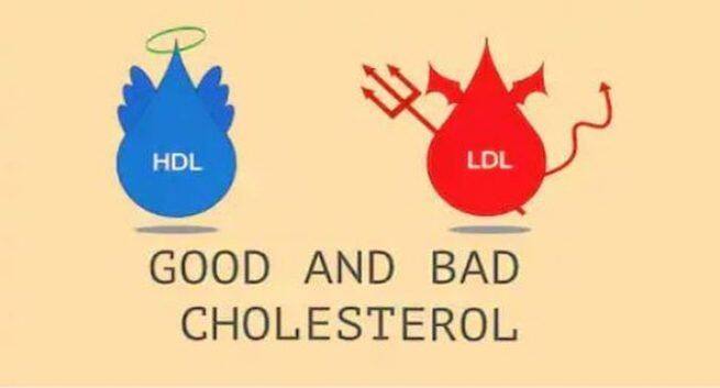 cholesterol controling foods and home remedies1