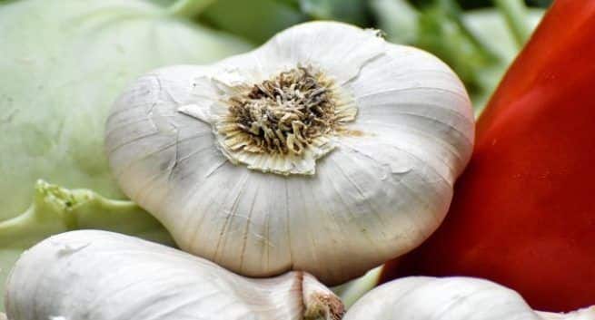 garlic-and-weight-loss