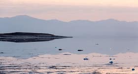 Biosynthetic fibres can prevent microplastic pollution in the environment: Study