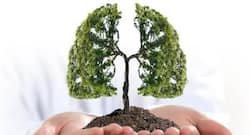 Undergoing treatment for lung cancer? Strike these yoga poses