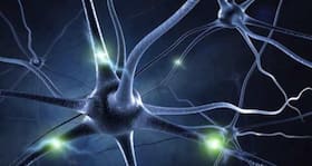 Are you at high risk of developing motor neuron diseases? Strike these yoga poses Are you at high risk of developing motor neuron diseases? Strike these yoga poses