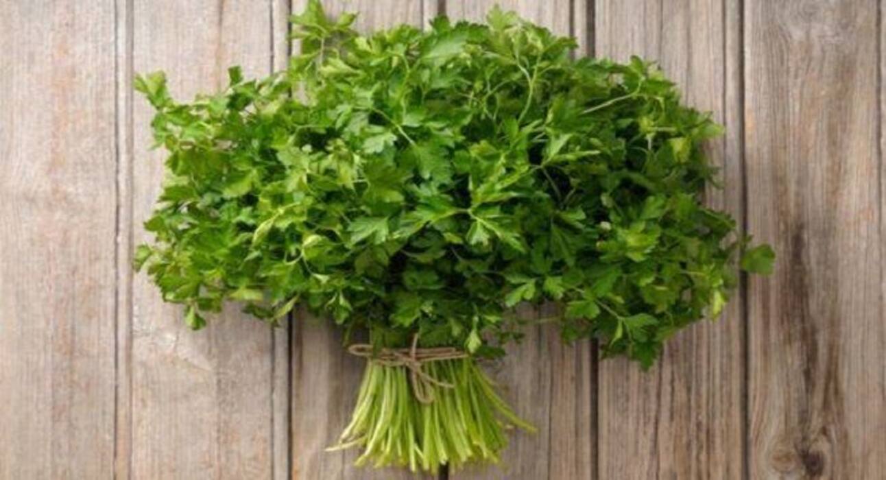 4 ways to get rid of garlic breath