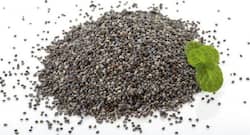 Know these health benefits of poppy seeds