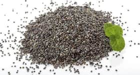 Know these health benefits of poppy seeds