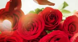 These health and beauty benefits of roses will surprise you