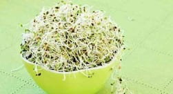 Know how sprouted food is beneficial for your health