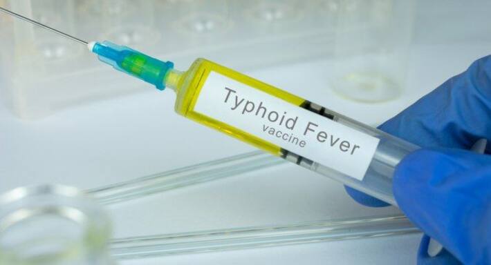 Oral typhoid vaccine can strengthen the immune response against other