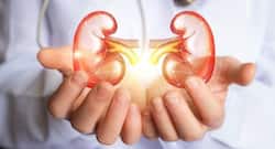World Kidney Day 2019: Foods people with kidney disease should avoid