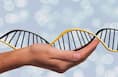 क्या डायबिटीज से बचने के लिए DNA टेस्ट करवाना जरूरी है ?