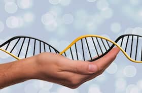 क्या डायबिटीज से बचने के लिए DNA टेस्ट करवाना जरूरी है ? क्या डायबिटीज से बचने के लिए DNA टेस्ट करवाना जरूरी है ?