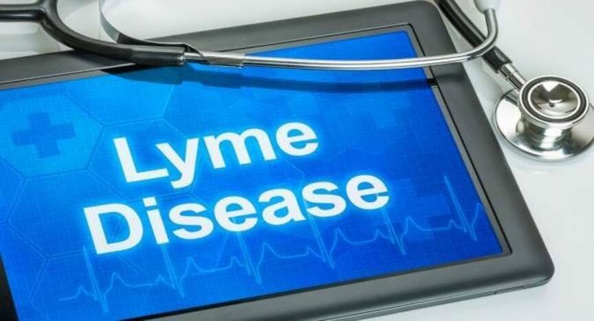 This is how you can manage Lyme disease | TheHealthSite.com