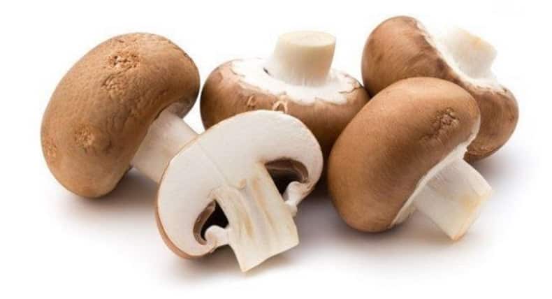 Know why milk thistle is good for your health
