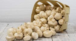 Don't forget to opt for these niacin-rich foods