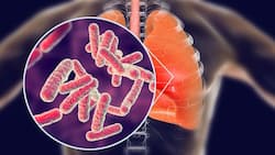 World TB Day 2021: विश्‍व टीबी दिवस क्‍यों मनाया जाता है, जानिए इस मुहिम में WHO की भूमिका और थीम