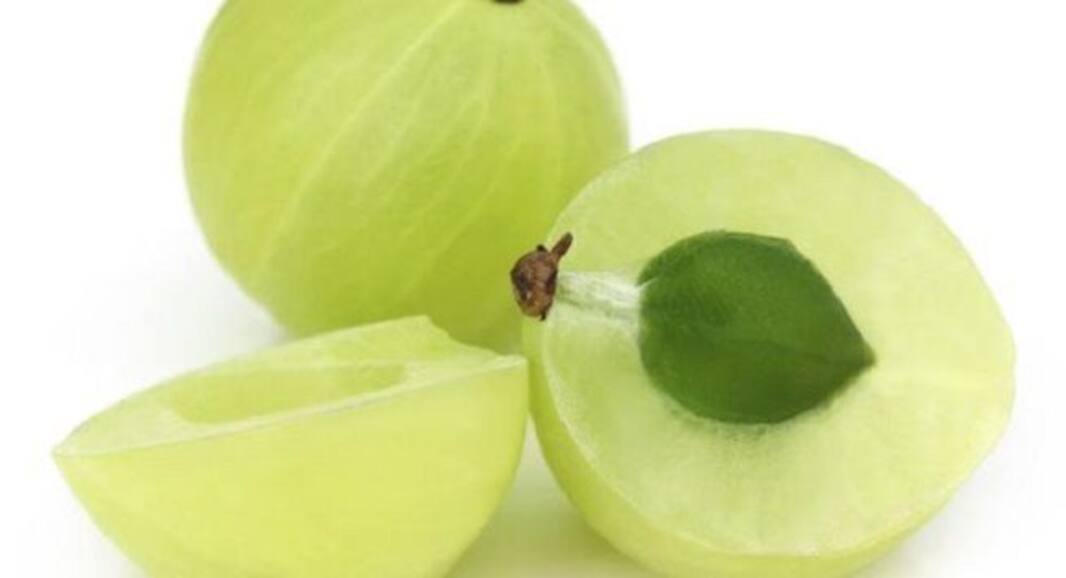 Start loving bitter gourd if you are suffering from diabetes mellitus