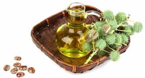 6 amazing skincare benefits of castor oil 6 amazing skincare benefits of castor oil