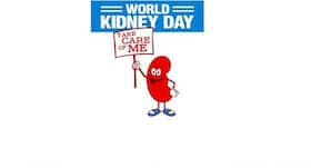 World Kidney Day 2019: All you need to know about CKD World Kidney Day 2019: All you need to know about CKD