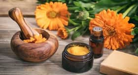 Calendula: A Blissful Natural Ingredient For Your Baby   s Skin