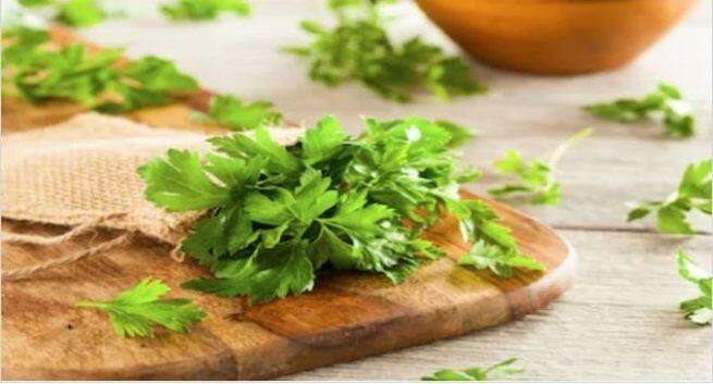 herbs for healthy kidney 1