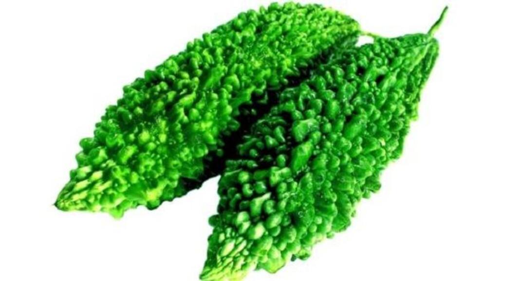 Start loving bitter gourd if you are suffering from diabetes mellitus