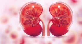 Suffering from a kidney disease? Eat this not that