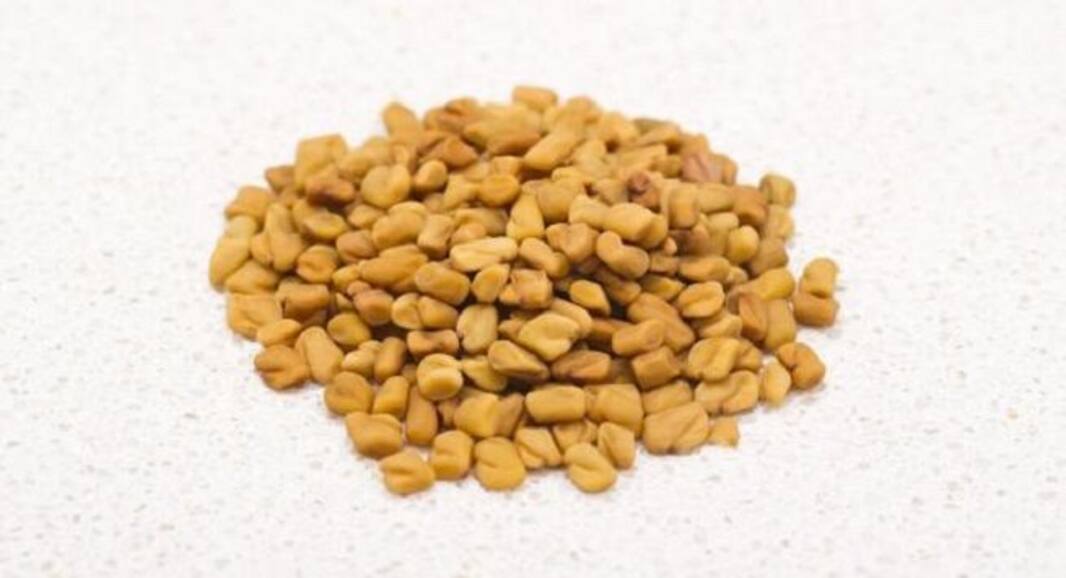 Start loving bitter gourd if you are suffering from diabetes mellitus