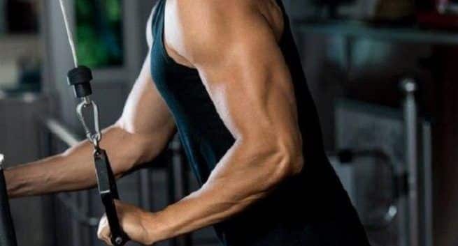 muscle tone