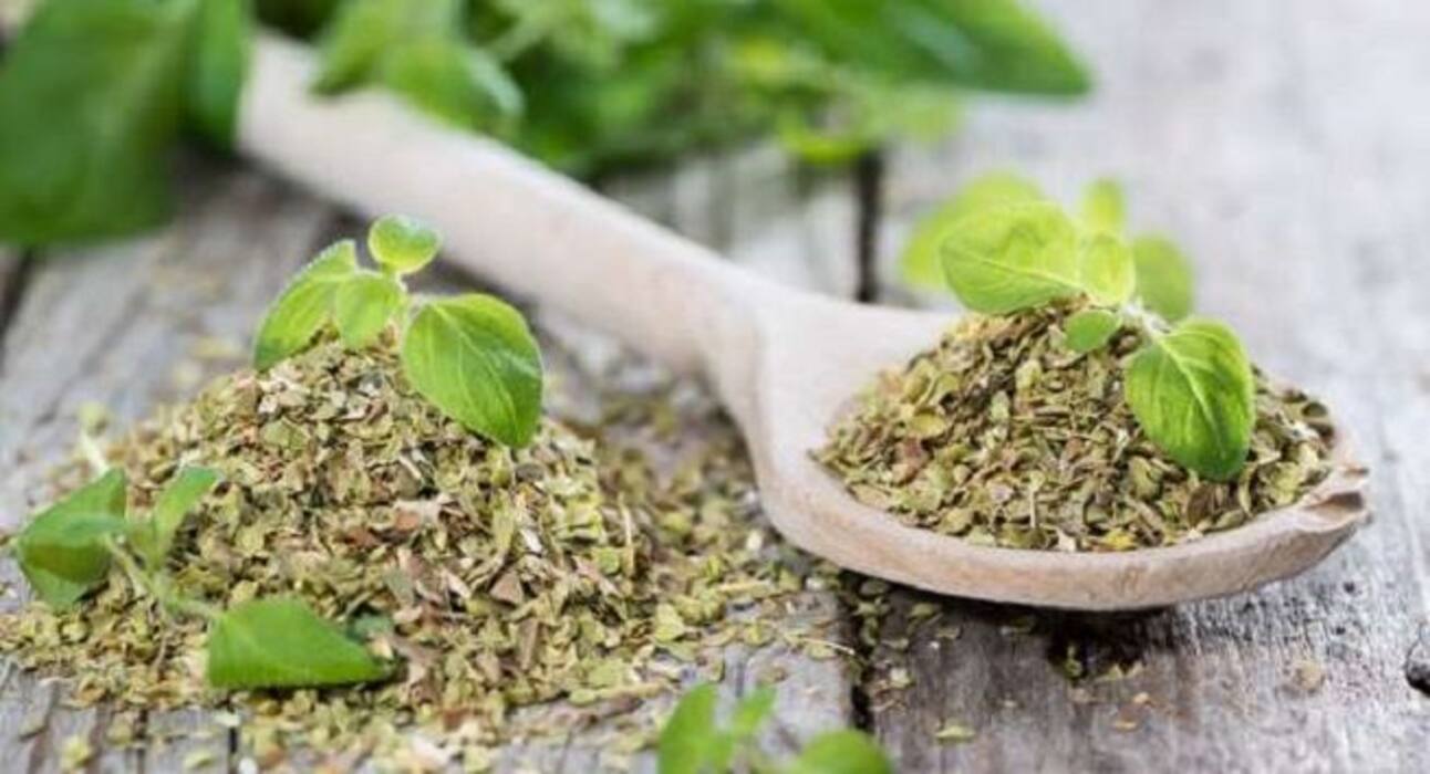 Want to prevent obesity? Here are the herbs that can help you