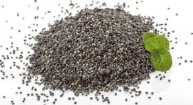5 health advantages of poppy seeds