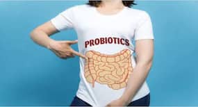 7 healthy probiotic foods to lose weight