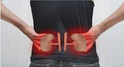 ये हैं वो संकेत, जो बताते हैं आपकी किडनी हो गई है खराब