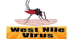 All you need to know about West Nile Virus