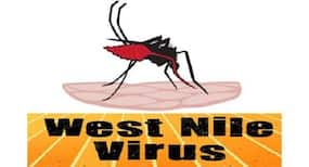 All you need to know about West Nile Virus