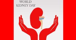 World Kidney Day 2020: Theme, history and significance