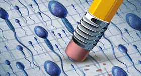 Endogamy increases infertility risk in Indian men