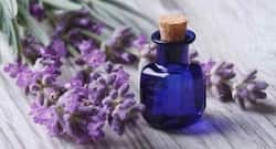 Here’s how lavender oil can benefit your body, mind and soul