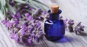 Here’s how lavender oil can benefit your body, mind and soul