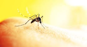 WHO Introduces World's First Anti-Malaria Vaccine In Africa