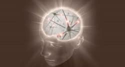 Moral decisions linked to brain activity, reveals study