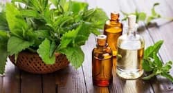 Want a quick energy boost? Try these tricks with peppermint essential oil