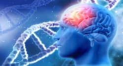 Radiation can impact astronauts' memory temporarily: Study